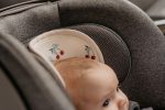 AL 0 CHS Cherries Lifestyle carseat 7 1