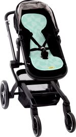 AL B CC buggy 3