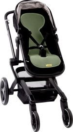 AL B MO buggy 2