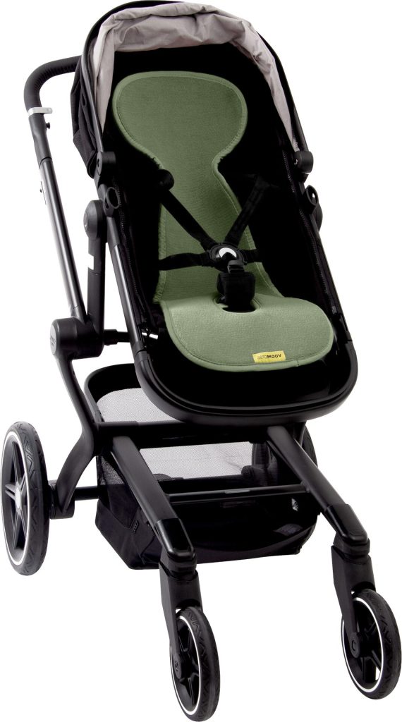 AL B MO buggy 2