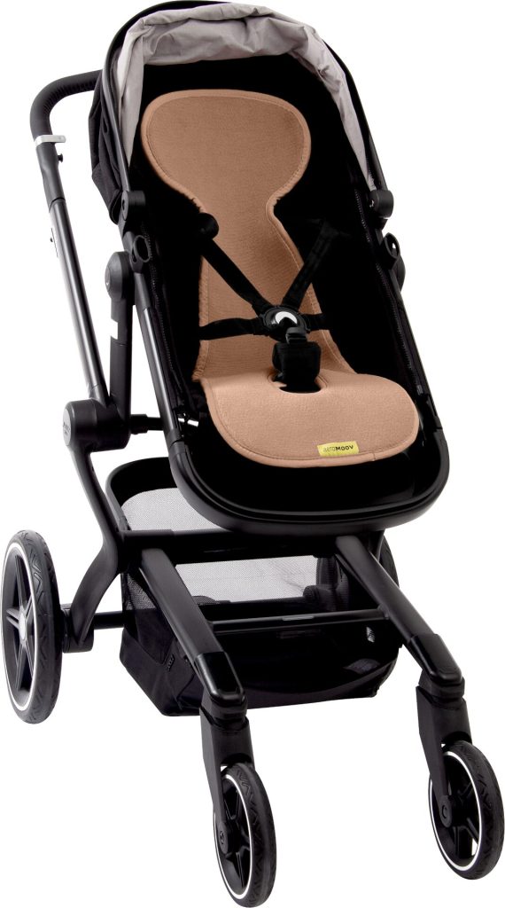 AL B TU buggy 2
