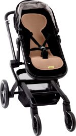 AL B TU buggy 3