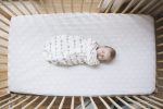 Swaddler Elephant Lifestyle 17