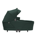 green 2 1 1