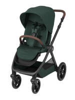 green 6 1 1 1