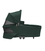 green 8 1 1